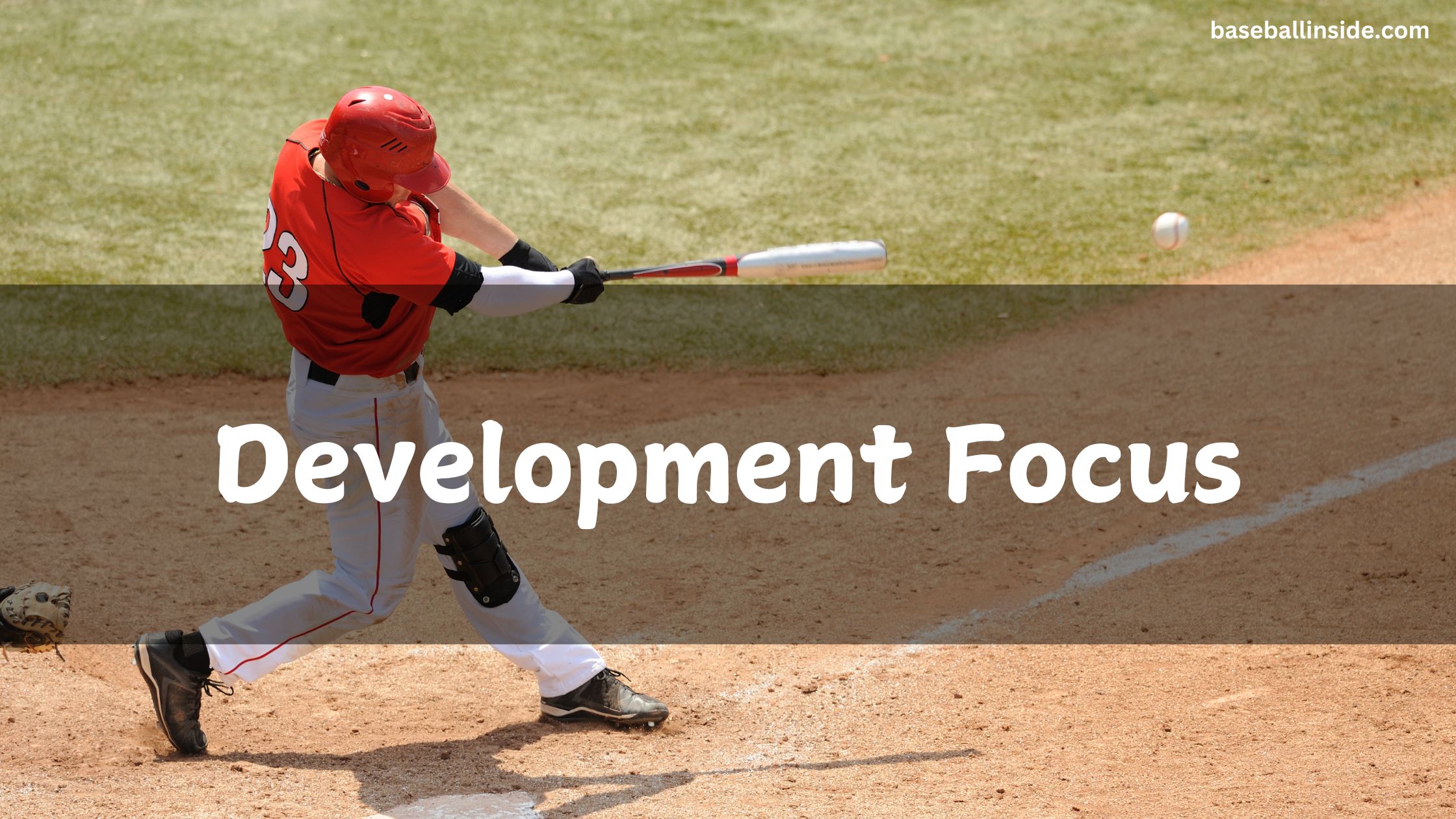 Development Focus