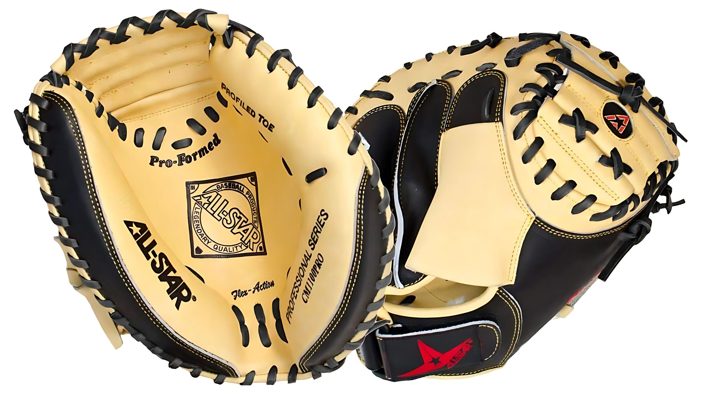 Baseball Catcher's Mitt